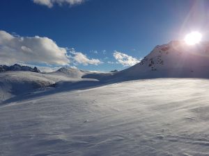 20170204_154329.jpg